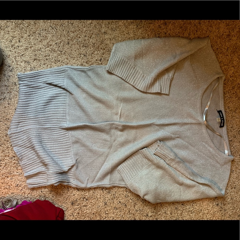 Shimmery sweater